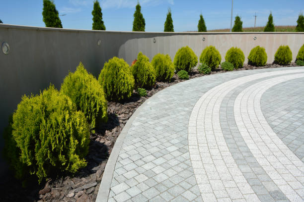 Best Local Driveway Pavers  in Morris Plains, NJ